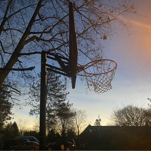 Meet your Posher, Levi